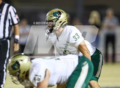 Thumbnail 1 in Basha @ Hamilton photogallery.