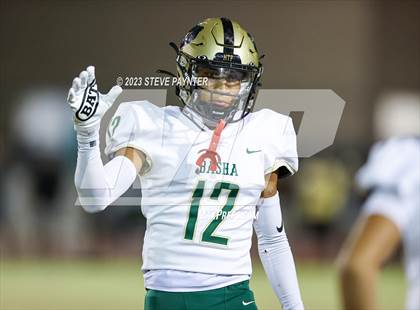 Thumbnail 3 in Basha @ Hamilton photogallery.