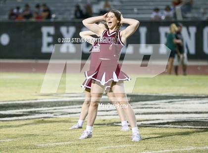 Thumbnail 1 in Basha @ Hamilton photogallery.