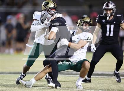 Thumbnail 2 in Basha @ Hamilton photogallery.