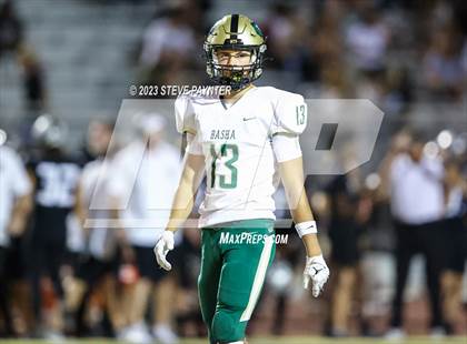 Thumbnail 3 in Basha @ Hamilton photogallery.