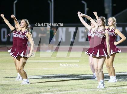 Thumbnail 2 in Basha @ Hamilton photogallery.