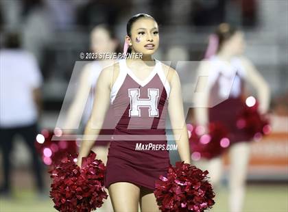 Thumbnail 3 in Basha @ Hamilton photogallery.