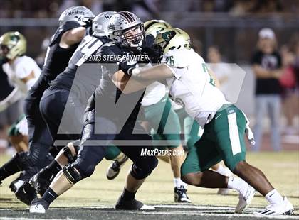 Thumbnail 2 in Basha @ Hamilton photogallery.