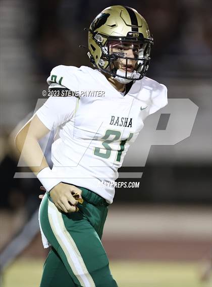Thumbnail 1 in Basha @ Hamilton photogallery.