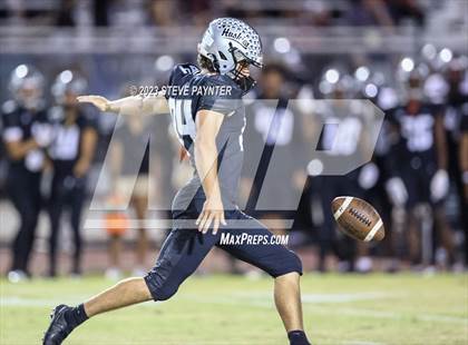 Thumbnail 3 in Basha @ Hamilton photogallery.