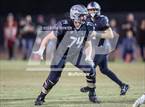 Photo from the gallery "Basha @ Hamilton"