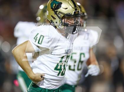 Thumbnail 2 in Basha @ Hamilton photogallery.