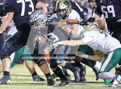 Thumbnail 1 in Basha @ Hamilton photogallery.