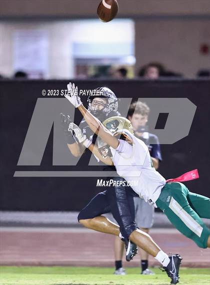 Thumbnail 3 in Basha @ Hamilton photogallery.