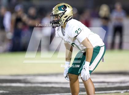 Thumbnail 1 in Basha @ Hamilton photogallery.
