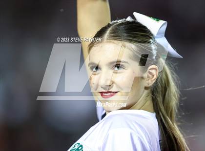 Thumbnail 3 in Basha @ Hamilton photogallery.