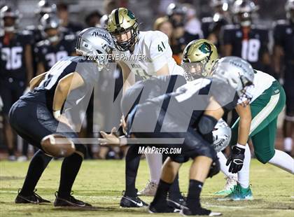 Thumbnail 2 in Basha @ Hamilton photogallery.