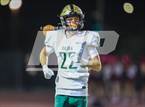 Photo from the gallery "Basha @ Hamilton"