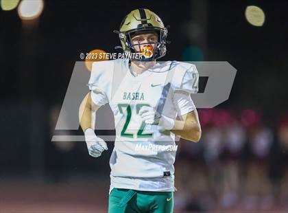 Thumbnail 1 in Basha @ Hamilton photogallery.