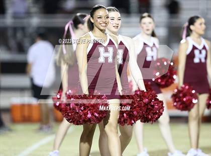 Thumbnail 2 in Basha @ Hamilton photogallery.