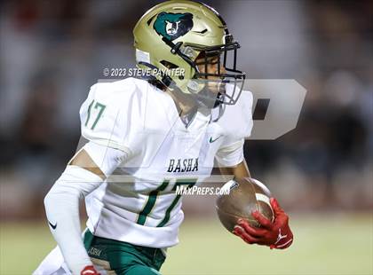 Thumbnail 3 in Basha @ Hamilton photogallery.