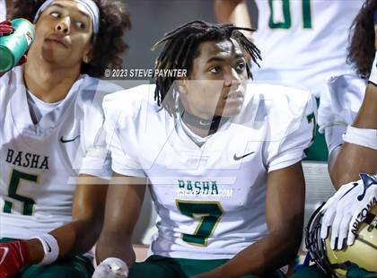 Thumbnail 1 in Basha @ Hamilton photogallery.