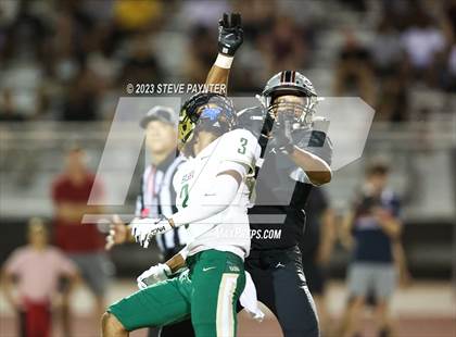 Thumbnail 1 in Basha @ Hamilton photogallery.