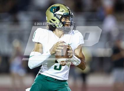 Thumbnail 3 in Basha @ Hamilton photogallery.