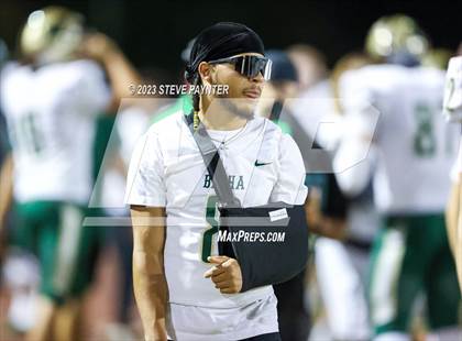 Thumbnail 2 in Basha @ Hamilton photogallery.