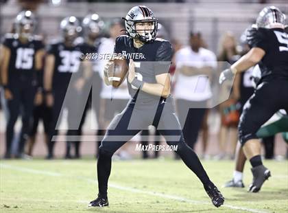 Thumbnail 1 in Basha @ Hamilton photogallery.