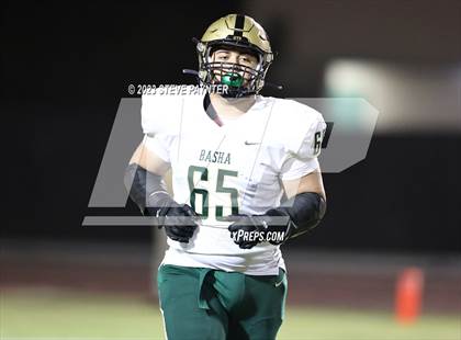 Thumbnail 3 in Basha @ Hamilton photogallery.