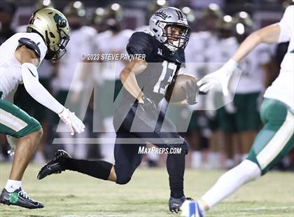 Thumbnail 3 in Basha @ Hamilton photogallery.