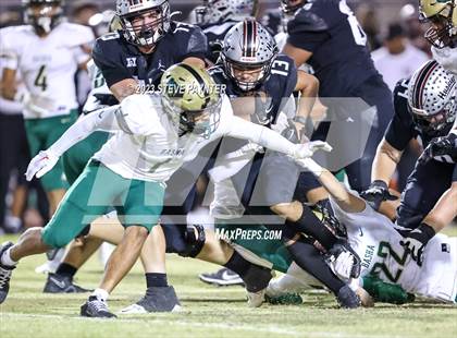 Thumbnail 2 in Basha @ Hamilton photogallery.
