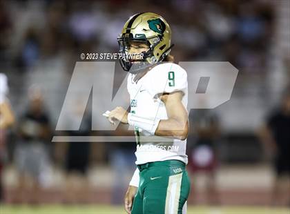 Thumbnail 1 in Basha @ Hamilton photogallery.
