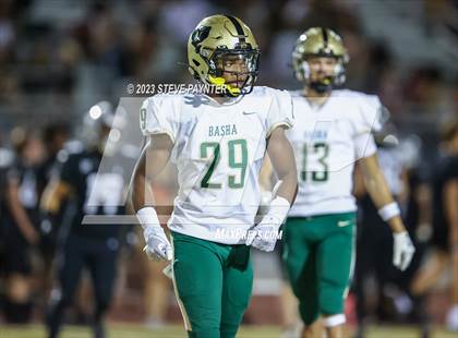 Thumbnail 2 in Basha @ Hamilton photogallery.