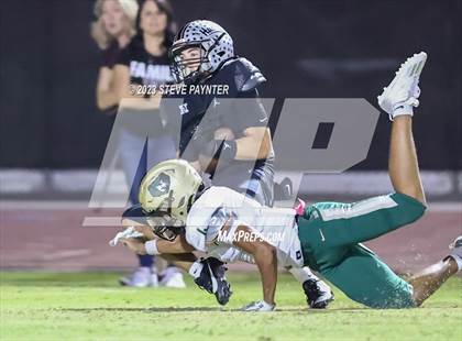 Thumbnail 2 in Basha @ Hamilton photogallery.