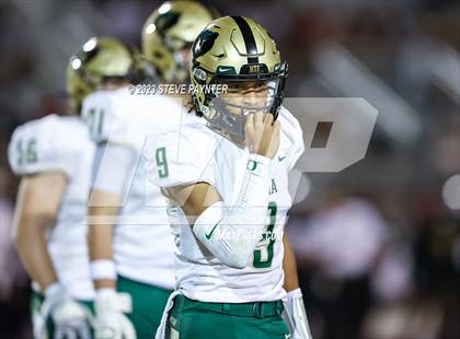 Thumbnail 2 in Basha @ Hamilton photogallery.
