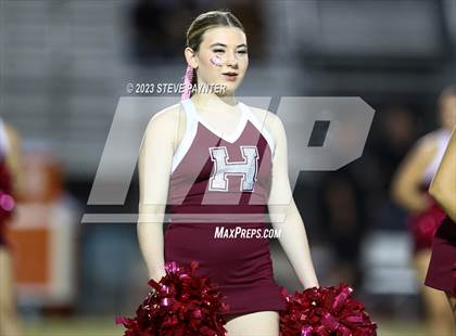 Thumbnail 1 in Basha @ Hamilton photogallery.