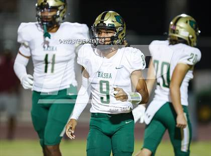 Thumbnail 2 in Basha @ Hamilton photogallery.