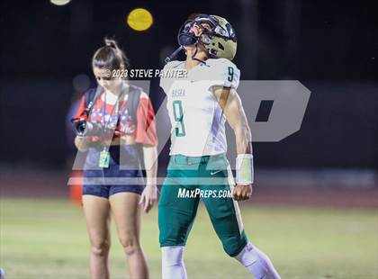Thumbnail 1 in Basha @ Hamilton photogallery.