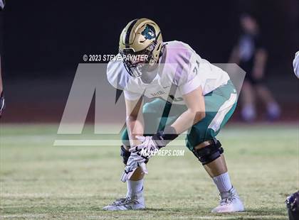 Thumbnail 1 in Basha @ Hamilton photogallery.