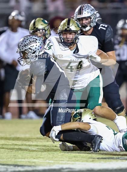 Thumbnail 1 in Basha @ Hamilton photogallery.