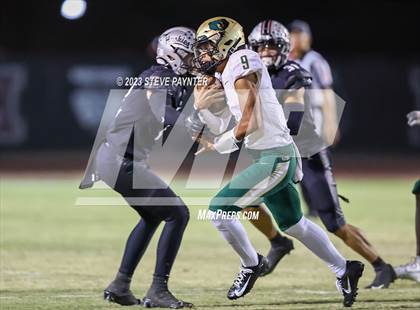 Thumbnail 2 in Basha @ Hamilton photogallery.
