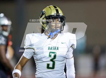 Thumbnail 3 in Basha @ Hamilton photogallery.