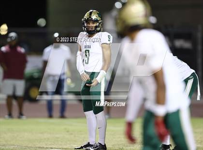 Thumbnail 2 in Basha @ Hamilton photogallery.