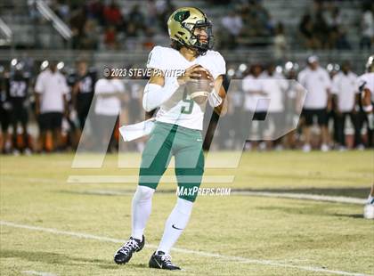 Thumbnail 1 in Basha @ Hamilton photogallery.