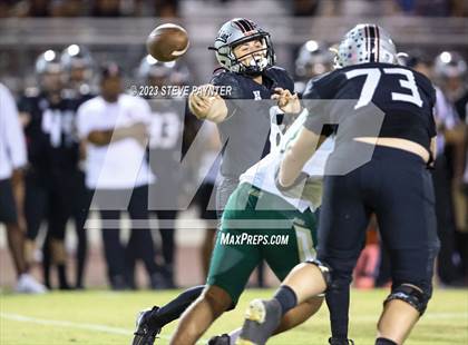 Thumbnail 2 in Basha @ Hamilton photogallery.
