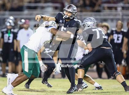 Thumbnail 2 in Basha @ Hamilton photogallery.