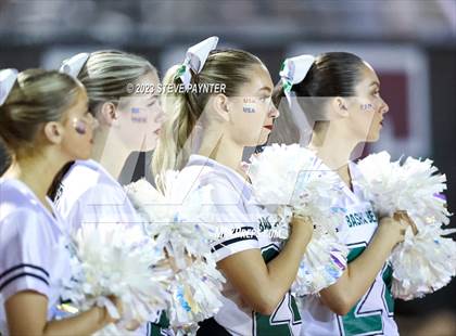 Thumbnail 1 in Basha @ Hamilton photogallery.
