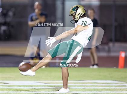 Thumbnail 1 in Basha @ Hamilton photogallery.