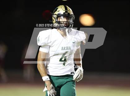 Thumbnail 2 in Basha @ Hamilton photogallery.