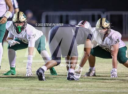 Thumbnail 2 in Basha @ Hamilton photogallery.