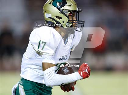 Thumbnail 1 in Basha @ Hamilton photogallery.