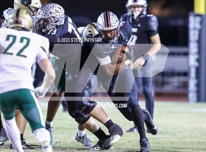Thumbnail 3 in Basha @ Hamilton photogallery.